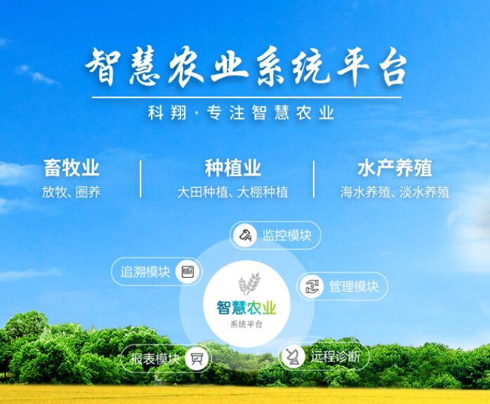 科翔1.jpg