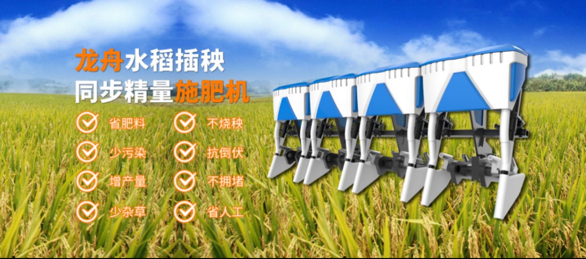 龙舟.png